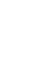 immagine infografica bianca di uno smartphone che fa una foto